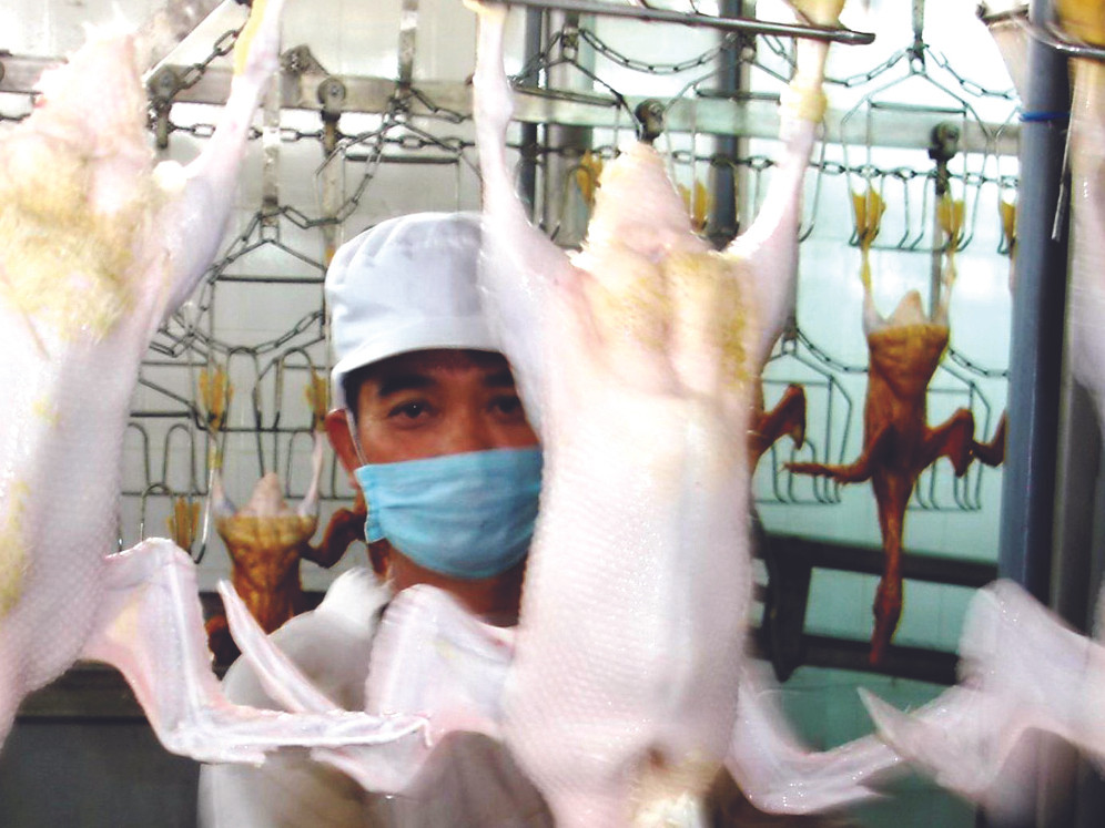 Các DN chế biến thực phẩm tại TPHCM đói vốn đầu tư hàng hóa phục vụ Tết