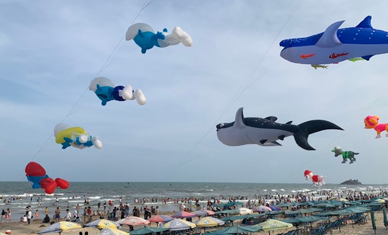 Ngày hội thả diều thu hút rất đông du khách tới biển Vũng Tàu