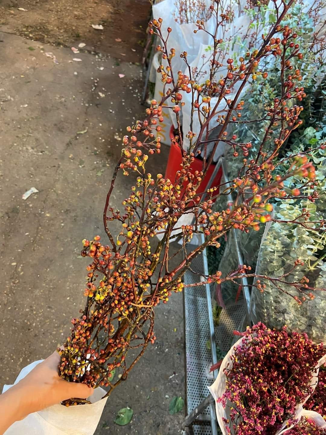 Đào hoa vàng chi chít nụ, khi căm vào nước sẽ nở ra những bông hoa đào màu vàng với mật độ dày trên cành (Ảnh: nongthonviet) Đào hoa vàng chi chít nụ, khi căm vào nước sẽ nở ra những bông hoa đào màu vàng với mật độ dày trên cành (Ảnh: nongthonviet)