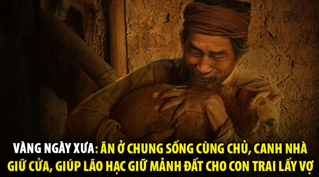 Cũng là vàng nhưng mà nó lạ lắm (FB: Troll game).