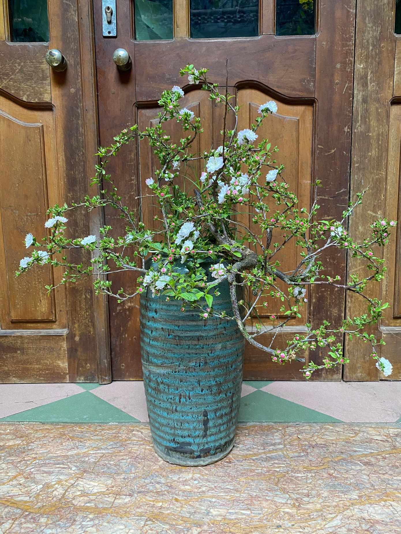 Dịch vụ vận chuyển hoa mai trắng – vận chuyển hoa Tết – vận chuyển hàng cont cảng từ HCM đi các tỉnh