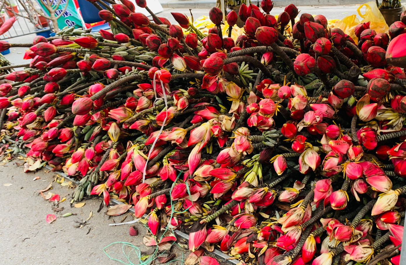 Hoa chuối rừng được bày bán phục vụ người dân chơi Tết với giá 50.000-80.000 đồng/bông