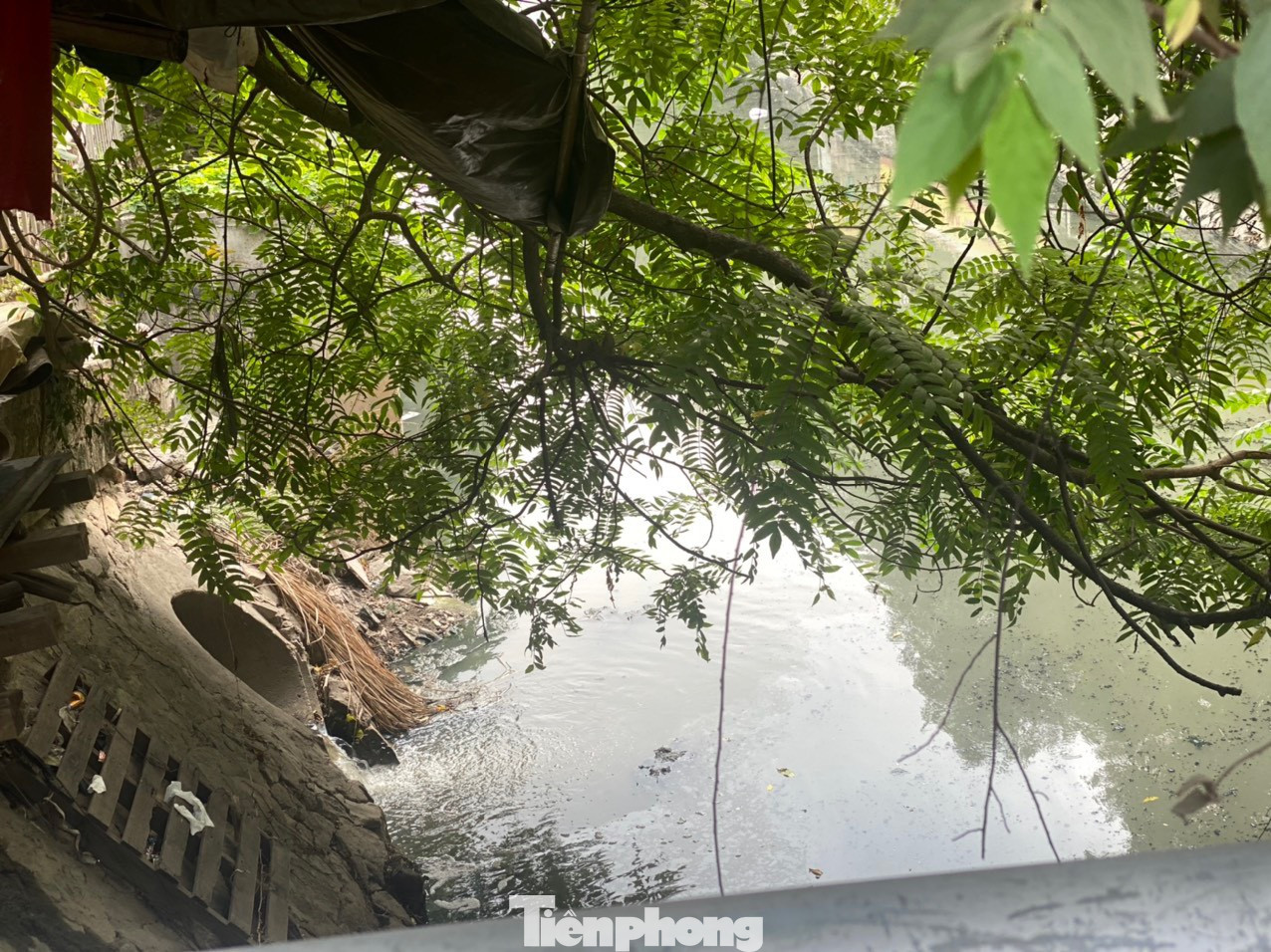 Ống nước thải sinh hoạt xả thẳng ra sông Lừ Ống nước thải sinh hoạt xả thẳng ra sông Lừ