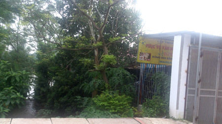 Bên cạnh quán hát là mương nước dẫn ra sông Đáy - nơi được cho là nạn nhân đã nhảy xuống để chạy trốn