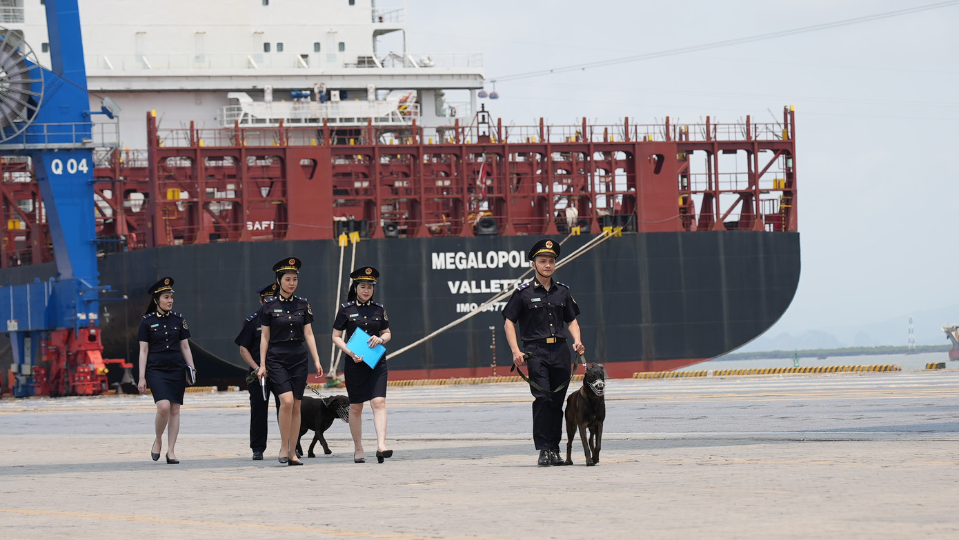 Công chức Hải quan cùng chó nghiệp vụ đi kiểm tra hàng hoá ở cảng biển Công chức Hải quan cùng chó nghiệp vụ đi kiểm tra hàng hoá ở cảng biển