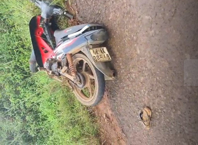 Chiếc xe gắn máy do em H. điều khiển