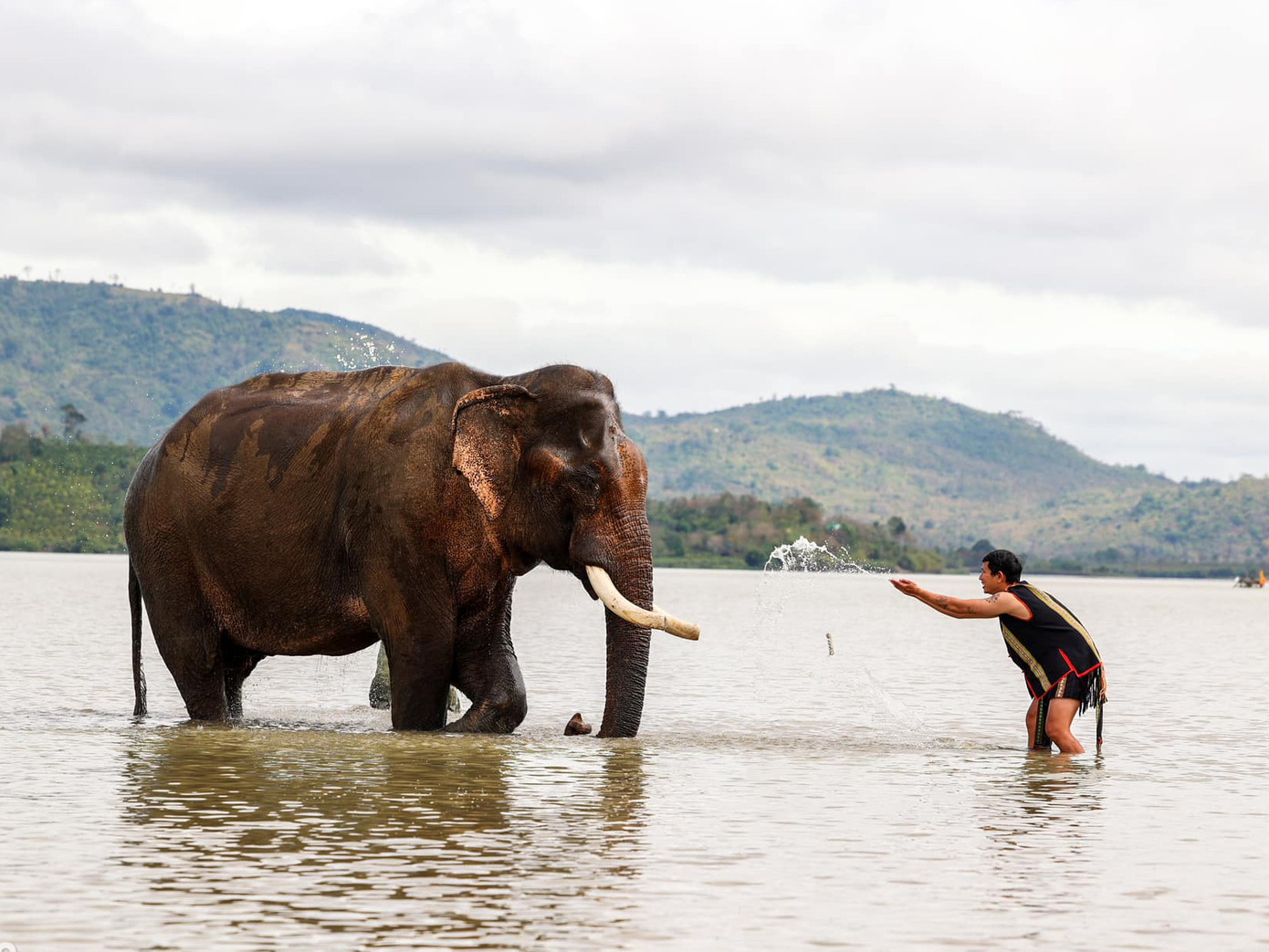 Nhiều du khách lên tiếng ủng hộ tua du lịch voi thân thiện của Đắk Lắk. Ảnh: FB Vinh Gấu