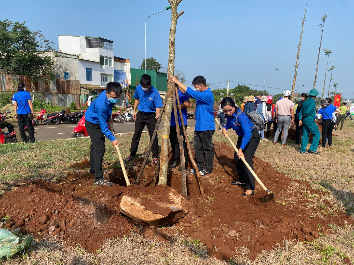 Số cây này được Cty TNHH MTV XNK 2-9 Đắk Lắk (Simexco DakLak) đồng hành cùng TP.Buôn Ma Thuột trồng tại dải phân cách giữa công trình đường tránh Đông Tây. Số cây này được Cty TNHH MTV XNK 2-9 Đắk Lắk (Simexco DakLak) đồng hành cùng TP.Buôn Ma Thuột trồng tại dải phân cách giữa công trình đường tránh Đông Tây.