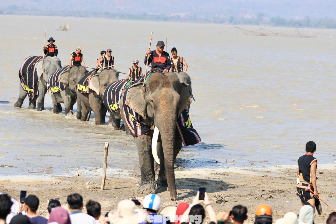 Lễ cúng sức khỏe cho 11 con voi tại buôn Lê (thị trấn Liên Sơn)