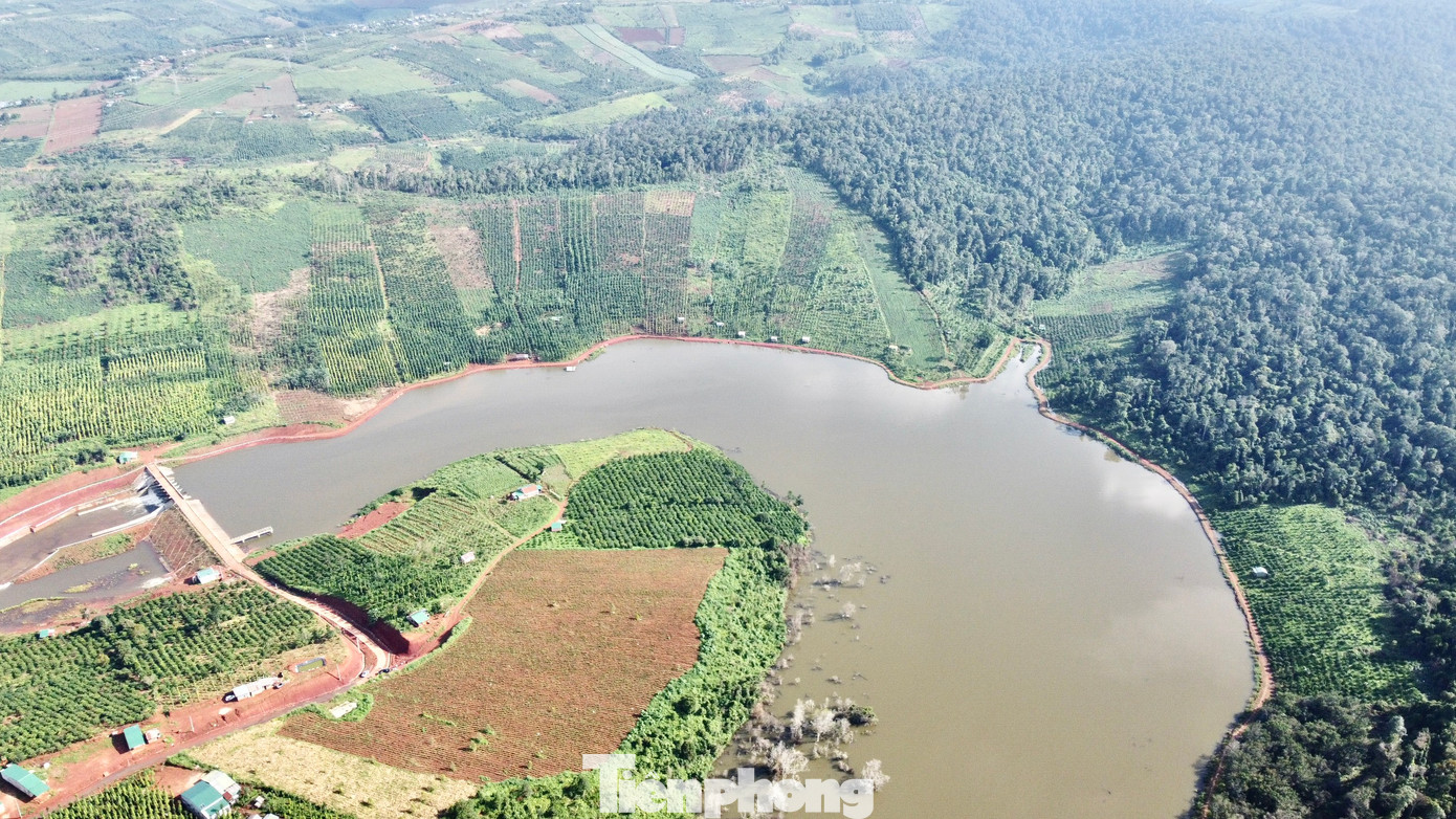 Tây Nguyên mỗi năm mất khoảng 5-7 nghìn héc-ta rừng Tây Nguyên mỗi năm mất khoảng 5-7 nghìn héc-ta rừng