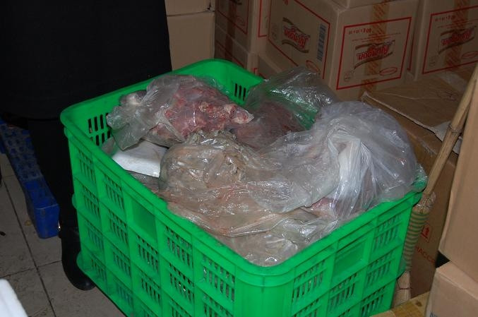 Hàng chục kilogam thịt, cá đã bốc mùi . Hàng chục kilogam thịt, cá đã bốc mùi