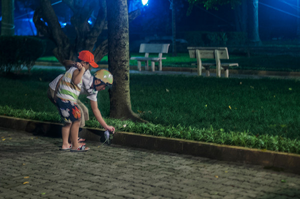 Một người cha đang cùng đứa con trai của mình đặt một bông hoa trong vườn nhà của Đại Tướng