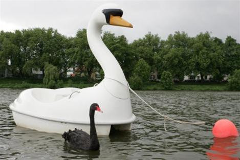 Trong suốt quãng thời gian đó chúng luôn quấn quýt bên nhau (Welt)