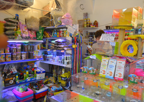 Một góc cửa hàng của Thành trên đường Trần Huy Liệu, quận Phú Nhuận, TP.HCM