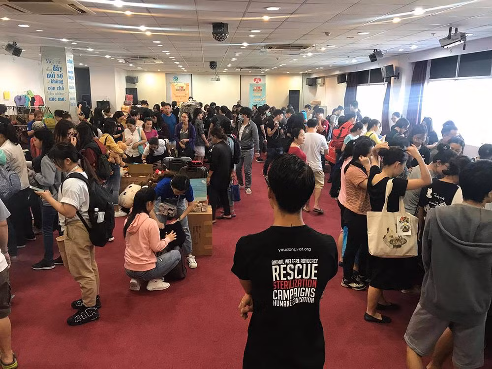 Một sự kiện bán hàng gây quỹ để cứu hộ, chăm sóc chó mèo do CLB YDV tổ chức, thu hút rất đông giới trẻ tham gia.