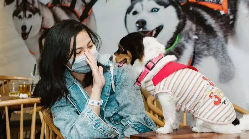 Với nhiều người trẻ, đối xử tốt với động vật cũng là cách để yêu thương con người. Với nhiều người trẻ, đối xử tốt với động vật cũng là cách để yêu thương con người.