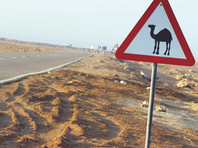 Đường cao tốc tới ốc đảo Siwa. Ảnh: Almad. Nhà bằng gạch bùn ở Siwa. Ảnh: Almad