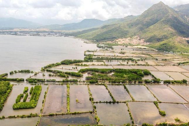 Khu vực đầm Thuỷ Triều của huyện Cam Lâm bị các công ty bất động sản rao bán trên mạng. Ảnh L.H