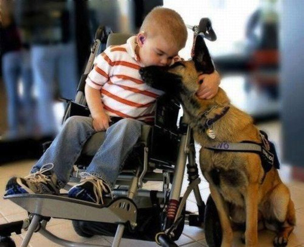 Đây là lý do vì sao con người luôn xem chó là người bạn tốt