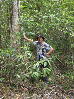 “Trong giai đoạn thẩm định báo cáo ĐTM của hai dự án, cần nhắc lại các cam kết quốc tế mà VN đã và đang tham gia” - GS.TS Nguyễn Hoàng Trí trong một đợt khảo sát ở rừng Đồng Nai