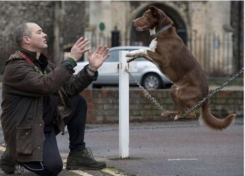 Ông Nick, chủ nhân của Ozzy thường xuyên tập luyện cho nó mỗi khi có thời gian rảnh 