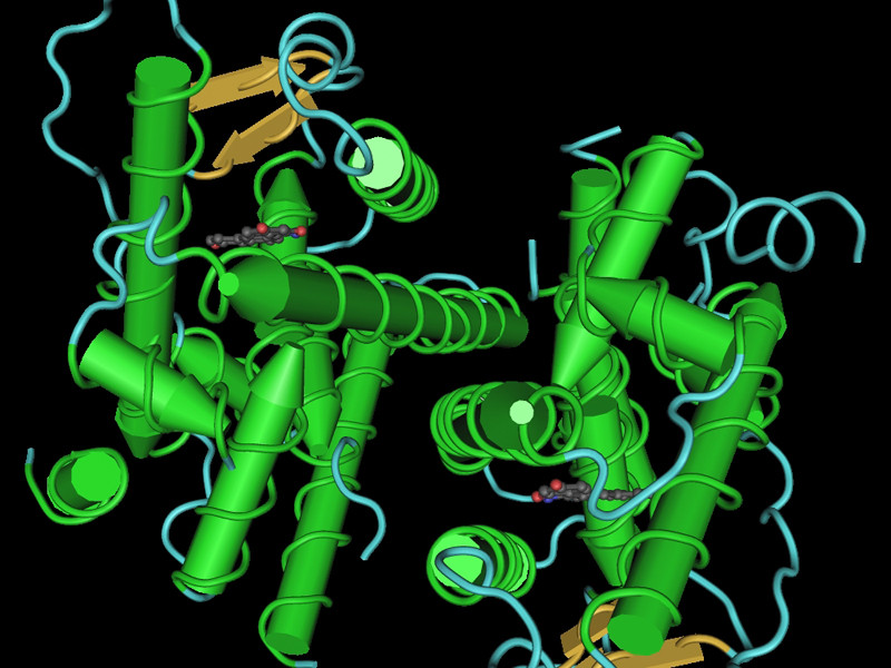 Hàm lượng estrogen cao sẽ gây rối loạn nội tiết ở phụ nữ. Hàm lượng estrogen cao sẽ gây rối loạn nội tiết ở phụ nữ