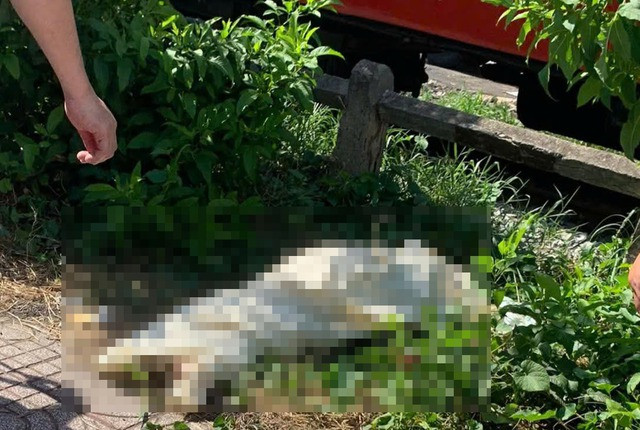 Hiện trường vụ việc. Hiện trường vụ việc.