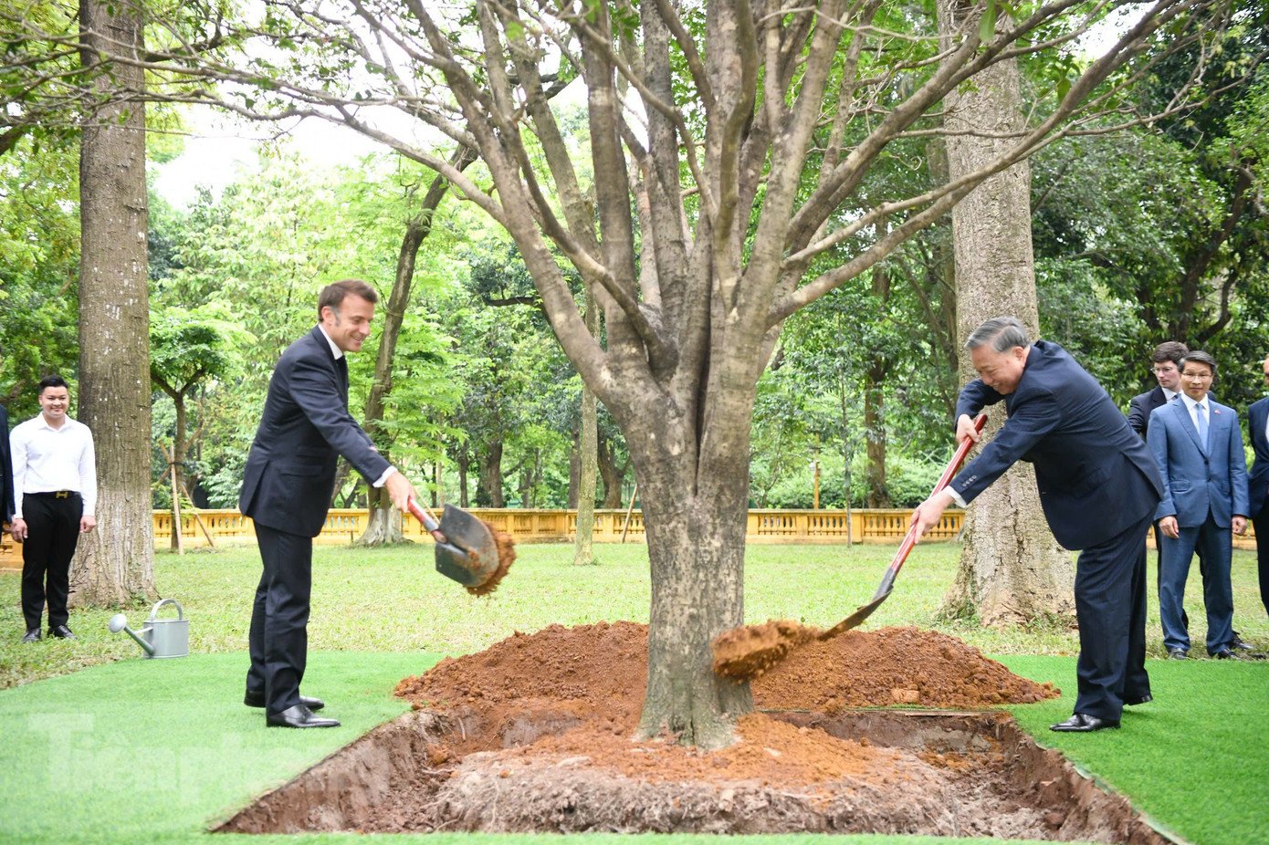 Tổng Bí thư Tô Lâm cùng Tổng thống Emmanuel Macron trồng cây mộc trong Khu Di tích Chủ tịch Hồ Chí Minh. Ảnh: Như Ý