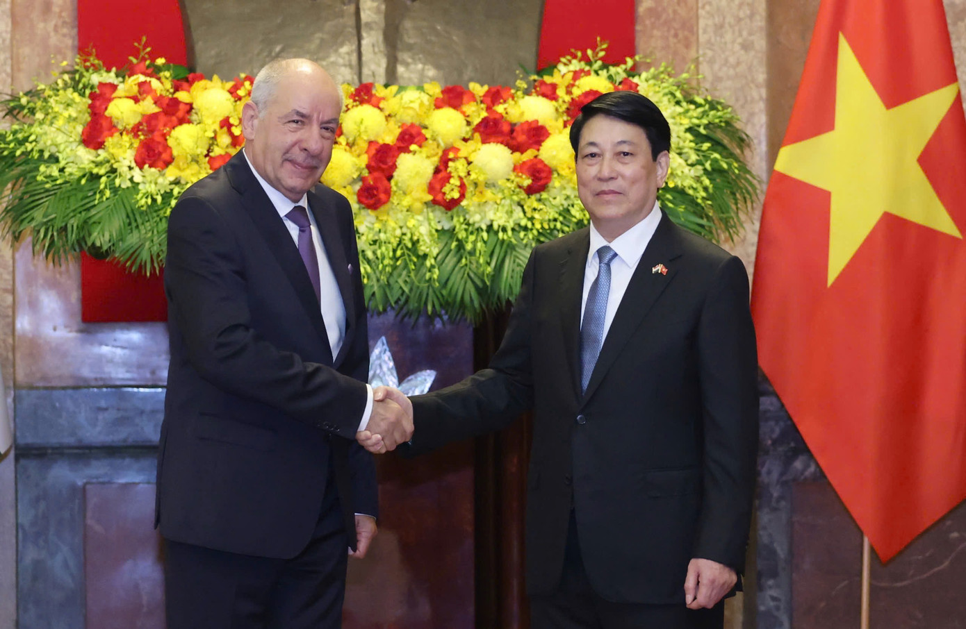 Chủ tịch nước Lương Cường và Tổng thống Hungary chụp ảnh chung trước hội đàm. Ảnh: Nhật Minh