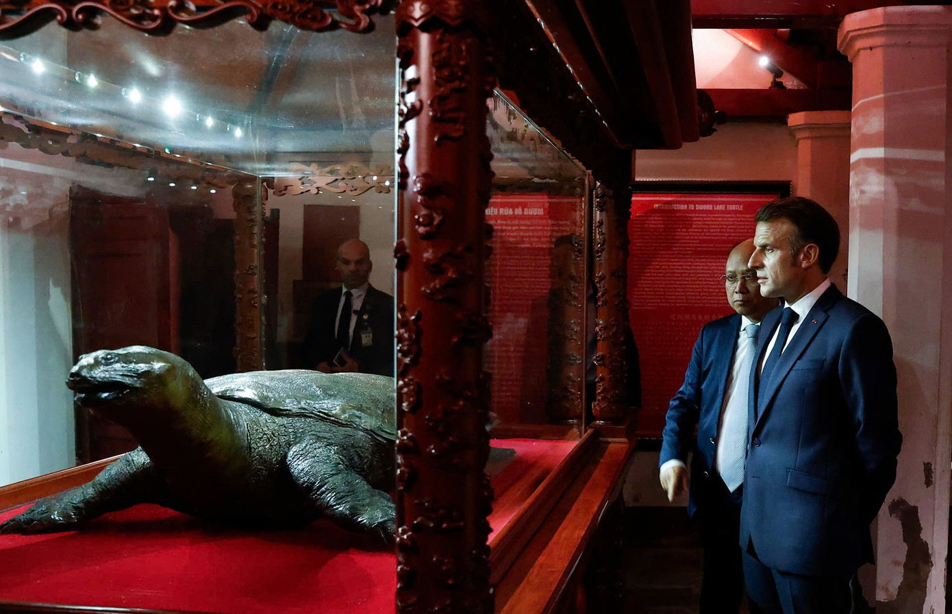 Tổng thống Pháp Emmanuel Macron và Phu nhân xem tiêu bản Rùa Hồ Gươm. Ảnh: Phạm Hải Tổng thống Pháp Emmanuel Macron và Phu nhân xem tiêu bản Rùa Hồ Gươm. Ảnh: Phạm Hải