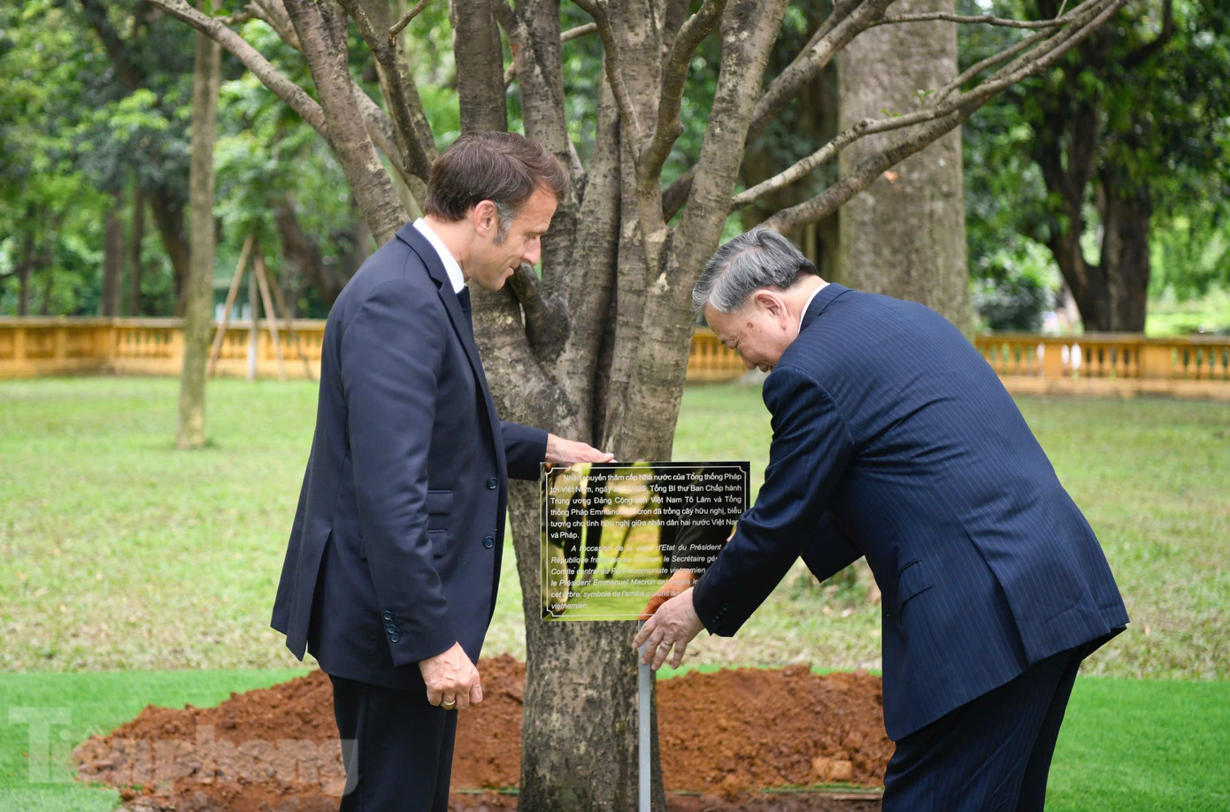 Hai nhà lãnh đạo cắm bảng thông tin về lễ trồng cây. Ảnh: Như Ý