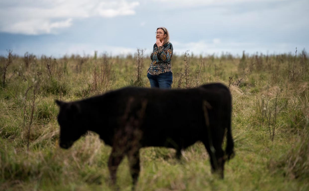 Bà Sandra Palleiro đứng gần một con bò trong nông trường ở Artigas, Uruguay, ngày 9/4. (Ảnh: Reuters)
