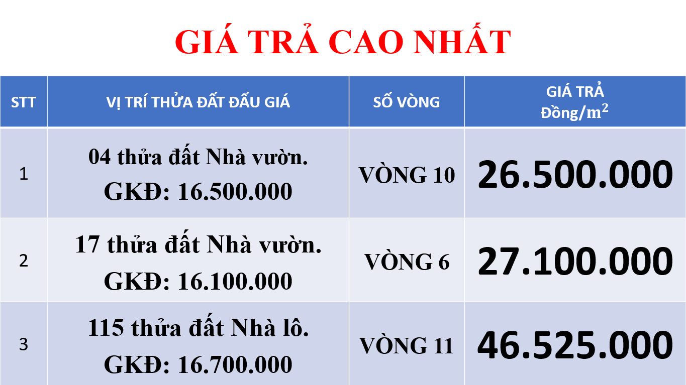 115 thửa đất nhà lô tại Khu dân cư Đồng Ổ trúng đấu giá gần 47 triệu đồng/m2, tăng gần 180% so với giá khởi điểm. Ảnh: Trung tâm dịch vụ đấu giá tài sản tỉnh Ninh Bình.