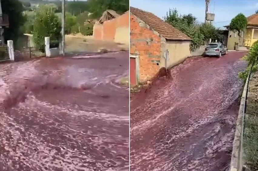 Dòng rượu vang đỏ đổ tràn trên con đường ở ngôi làng của Bồ Đào Nha. (Ảnh từ clip) Dòng rượu vang đỏ đổ tràn trên con đường ở ngôi làng của Bồ Đào Nha. (Ảnh từ clip)