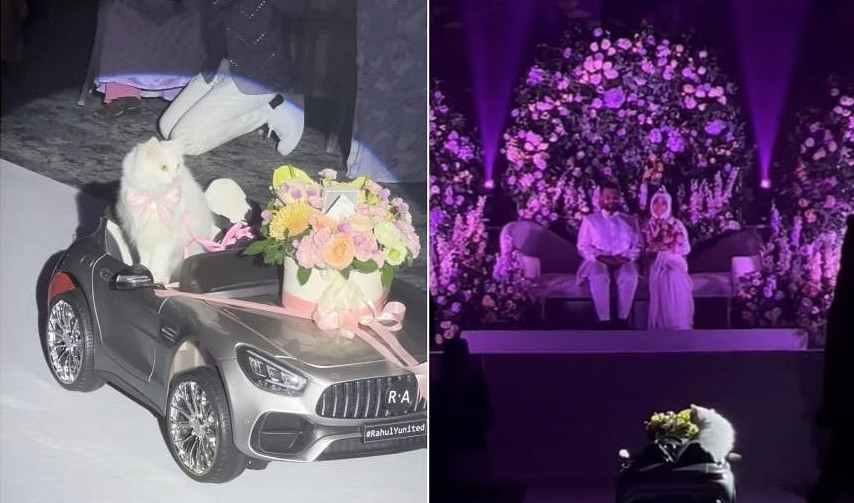 Con mèo hoàn thành nhiệm vụ trao nhẫn cho cô dâu, chú rể trong lễ cưới. (Ảnh: ST)