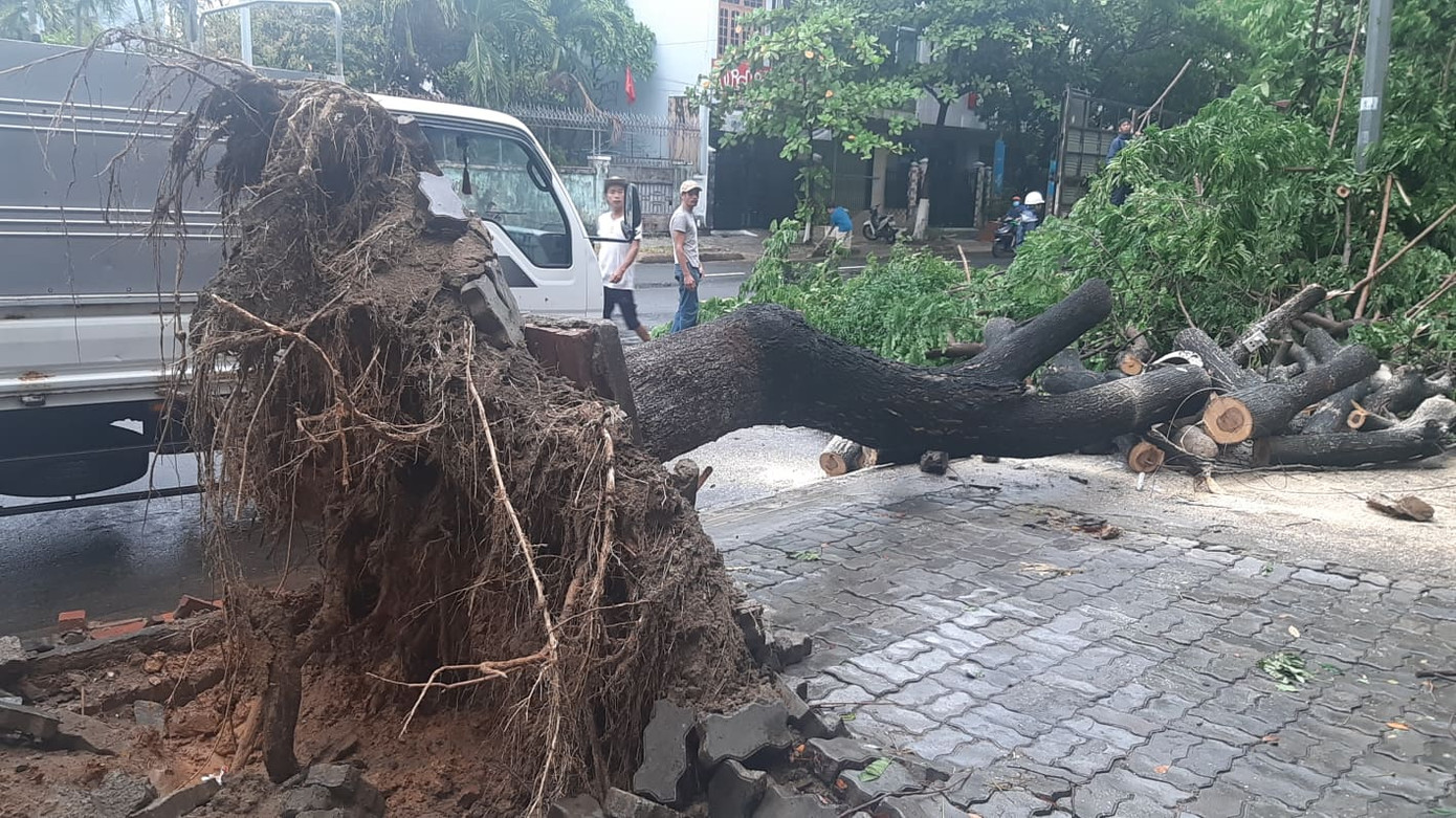 Cây đổ hàng loạt, mất điện, hàng nghìn nhà tốc mái do bão số 5 ảnh 28