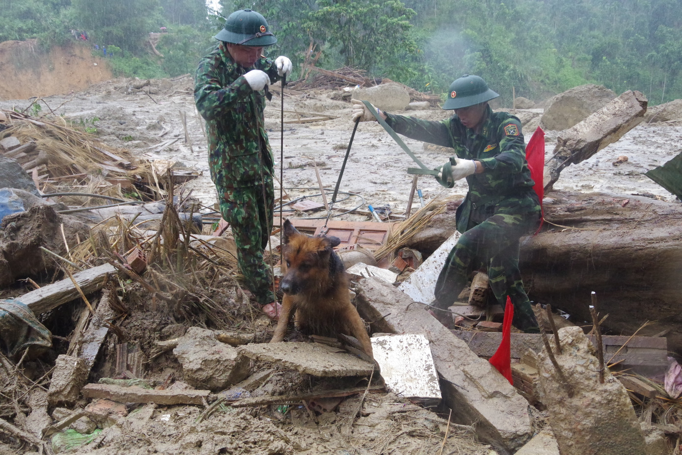 Chó nghiệp vụ xác định nhiều vị trí nghi ngờ có thi thể mất tích ở Trà Leng ảnh 4
