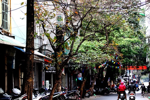 Hà Nội đẹp ngỡ ngàng trong tiết giao mùa tháng 3 ảnh 2