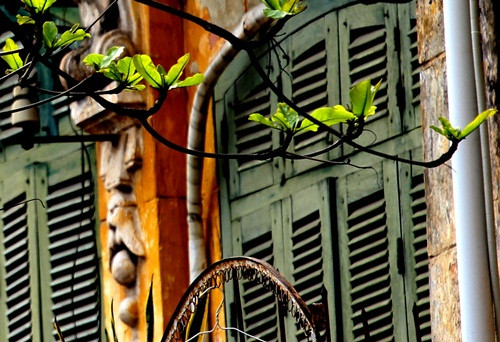 Hà Nội đẹp ngỡ ngàng trong tiết giao mùa tháng 3 ảnh 7