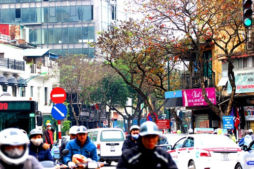 Hà Nội đẹp ngỡ ngàng trong tiết giao mùa tháng 3 ảnh 4