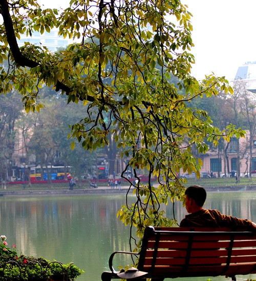 Hà Nội đẹp ngỡ ngàng trong tiết giao mùa tháng 3 ảnh 10