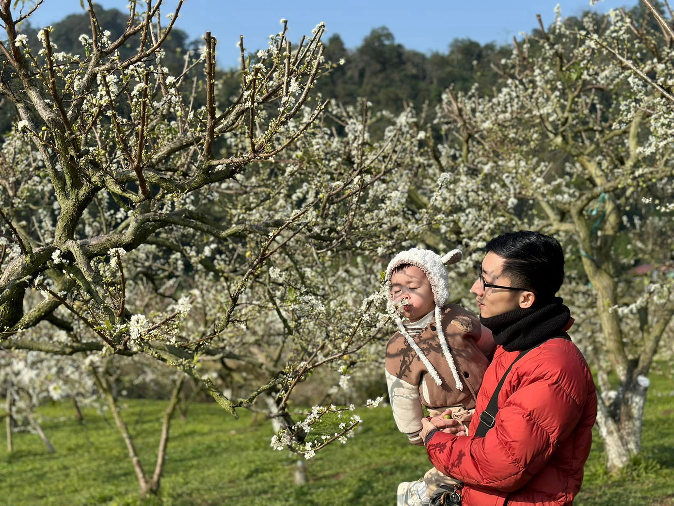 Nhiều gia đình cũng tranh thủ lên cao nguyên Mộc Châu du xuân. - Ảnh: Đỗ Thủy