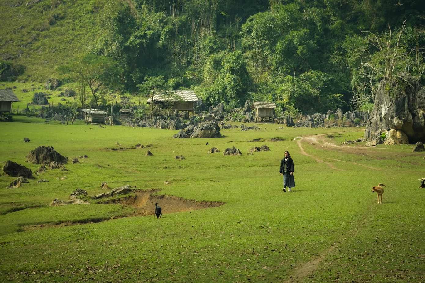 Hiện chùm ảnh về Hang Táu của Tú đã nhận được hơn 12 nghìn lượt yêu thích chỉ riêng trong một hội nhóm về du lịch, cùng hơn 600 lượt chia sẻ. Khá bất ngờ bởi sự lan tỏa của bộ ảnh này, chàng trai cũng mong muốn Hang Táu sẽ trở thành một địa điểm du lịch đáng đến ở miền Bắc. "Ngoài ra, anh cũng mong muốn, chính quyền địa phương và những người mê trải nghiệm sẽ nhận ra được tiềm năng du lịch của Hang Táu để có hướng phát triển hợp lý nhất mà không để mất đi chất riêng của nơi này", Đỗ Tú chia sẻ.