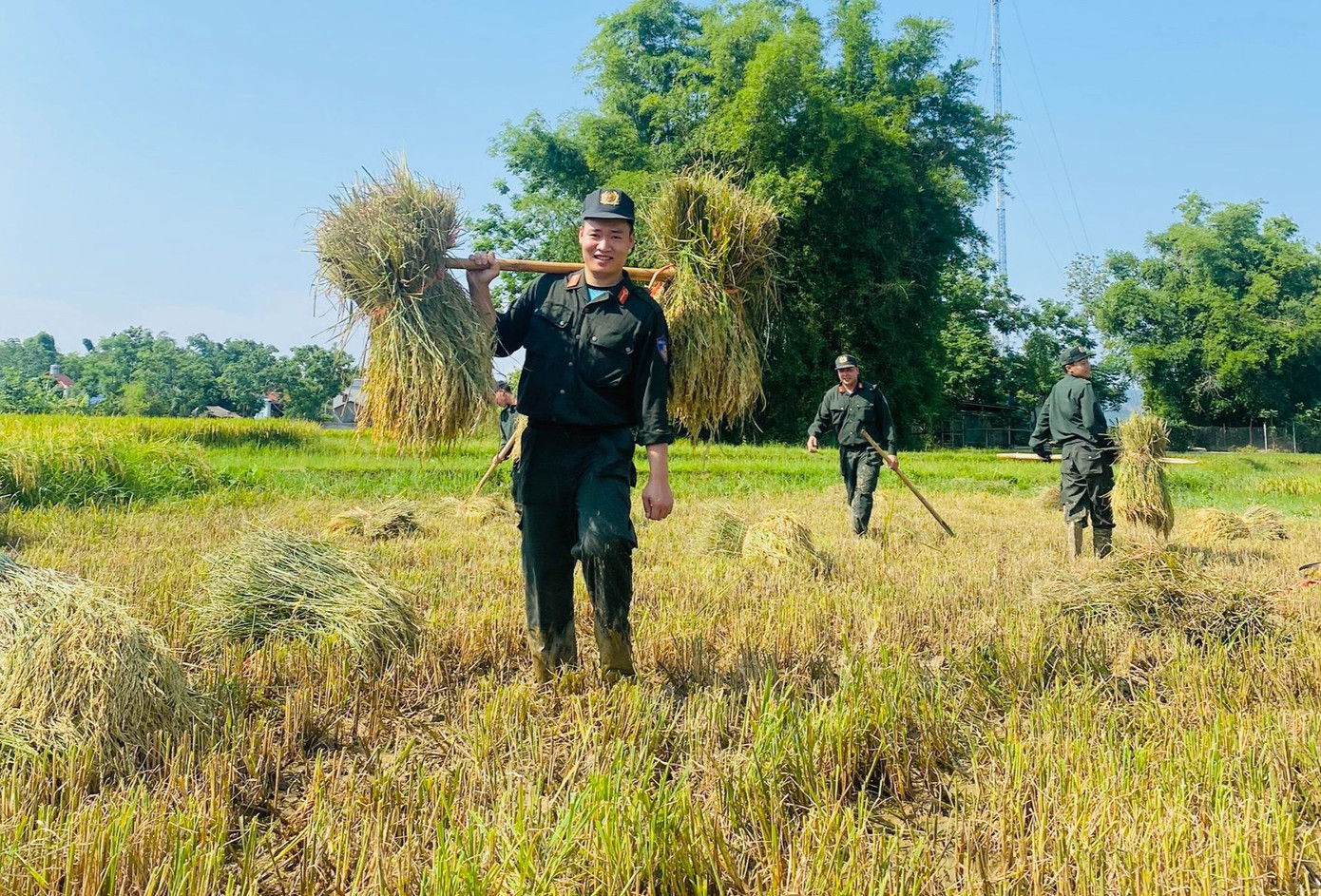 Các chiến sĩ trẻ Cảnh sát cơ động Công an tỉnh Điện Biên hỗ trợ người dân xã Thanh Luông, huyện Điện Biên thu hoạch lúa. Ảnh: Ban Thanh niên Công an tỉnh Điện Biên Các chiến sĩ trẻ Cảnh sát cơ động Công an tỉnh Điện Biên hỗ trợ người dân xã Thanh Luông, huyện Điện Biên thu hoạch lúa. Ảnh: Ban Thanh niên Công an tỉnh Điện Biên