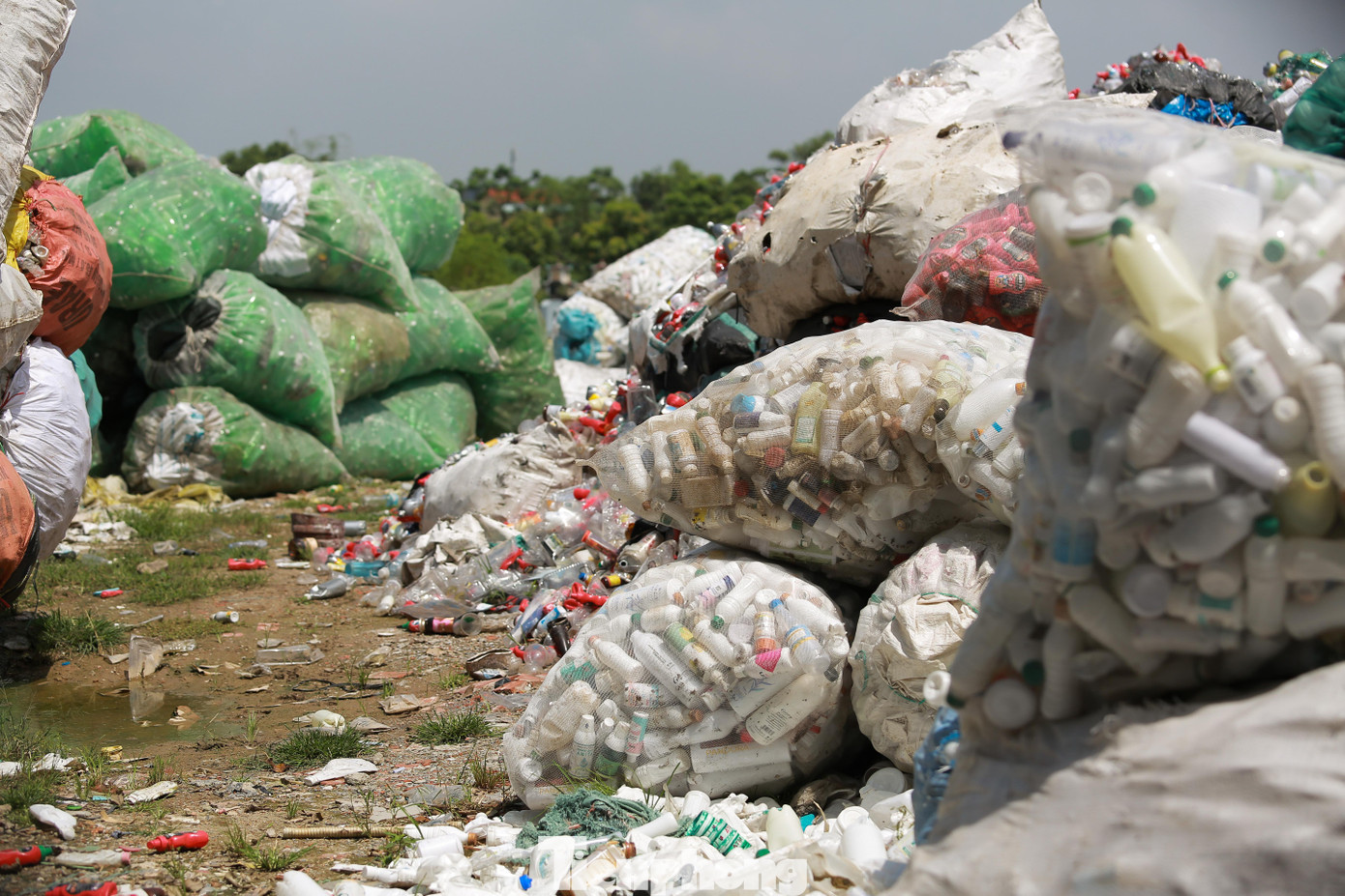 Các tải phế liệu được chất cao quá đầu người.