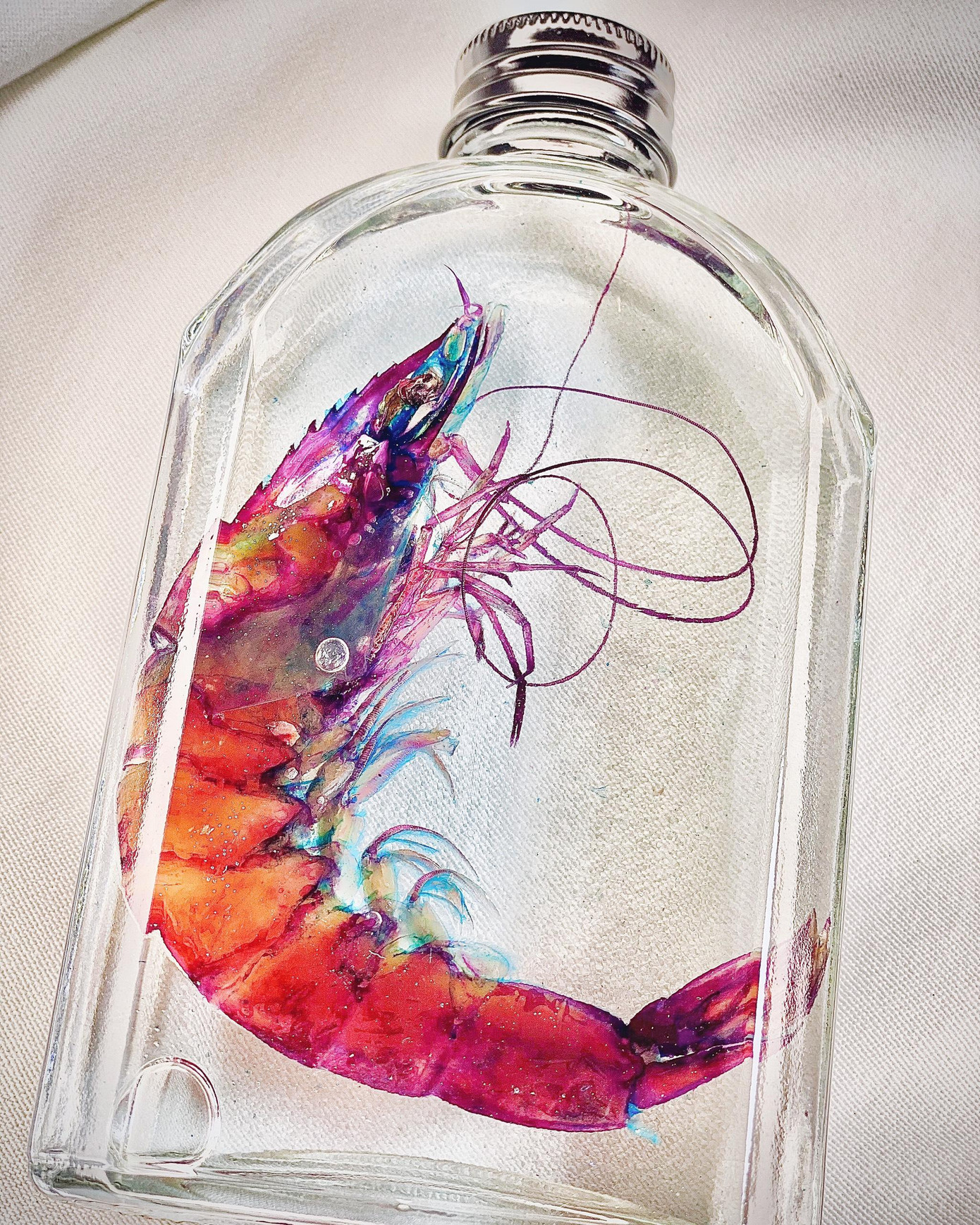 Tiêu bản tôm. Tiêu bản tôm.