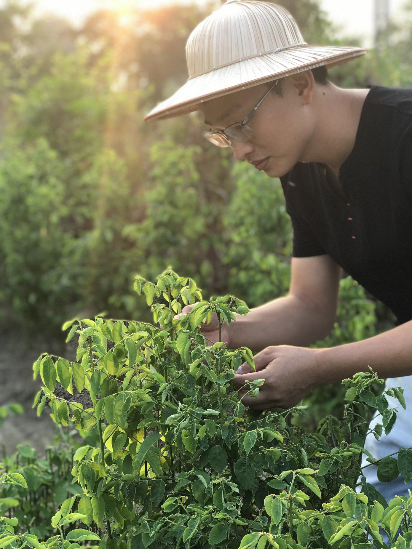 Thanh niên 9x ấp ủ khởi nghiệp sản phẩm từ nông nghiệp. Thanh niên 9x ấp ủ khởi nghiệp sản phẩm từ nông nghiệp.