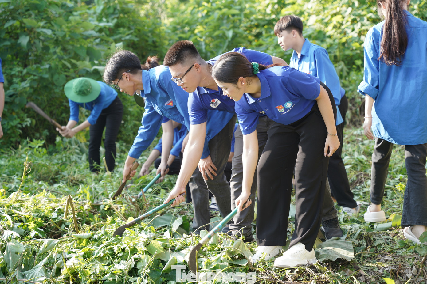 Sinh viên tình nguyện dọn dẹp, phát quang mặt bằng. Ảnh: Diệu Nhi