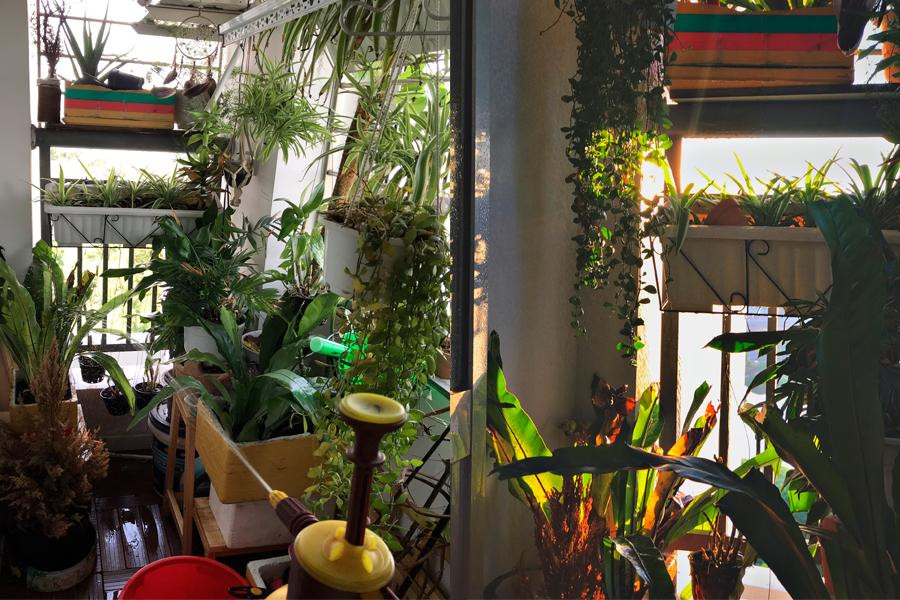 Trước đó, Hương Mai khá ấn tượng với anh hàng xóm bởi khả năng nấu nướng và chăm sóc cây nên cô đã chủ động nhắn tin và "khen dạo". Trước đó, Hương Mai khá ấn tượng với anh hàng xóm bởi khả năng nấu nướng và chăm sóc cây nên cô đã chủ động nhắn tin và "khen dạo".