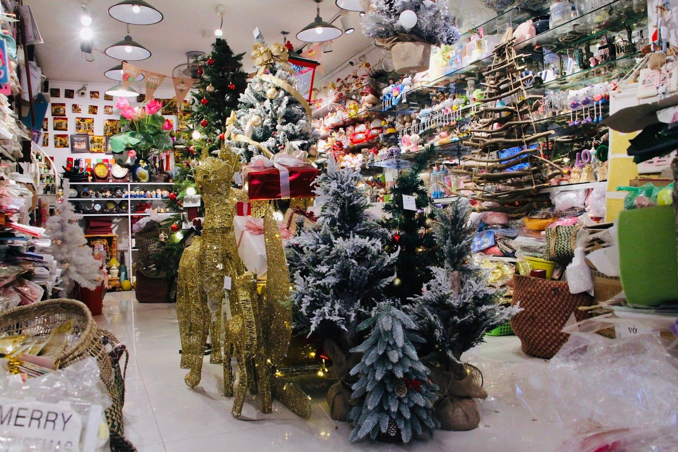 Bạn Hằng Thu (nhân viên cửa hàng Yly tại phố Tôn Thất Tùng) cho biết thêm: “Thường cửa hàng đông khách vào khoảng 18h chiều mỗi ngày khi nhân viên công sở tan làm, các bạn sinh viên tan học. Số lượng đơn đặt hàng trên Shopee nhiều hơn khách đến mua trực tiếp. Các sản phẩm trang trí tại cửa hàng khá đa dạng với mức giá trung bình, đắt nhất là cây thông Noel lên tới 12 triệu đồng. Đa số, bạn trẻ ghé cửa hàng hoặc đặt online sẽ chỉ lựa chọn cây thông có giá từ 3 đến 4 triệu đồng”.